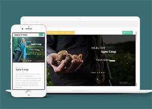 足球运动直播网站响应式模板 - KingHub