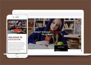 简洁图书馆在线书城网站模板 - KingHub