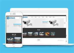 响应式数字防盗类网站前端模板 - KingHub