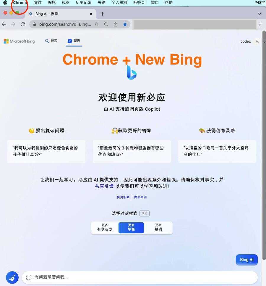 微软New Bing完美聊天机器人源码，支持ChatGPT提示词 国内可用，基本兼容微软 Bing AI 所有功能 - KingHub