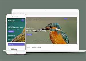 专业鸟类百科HTML网站模板 - KingHub