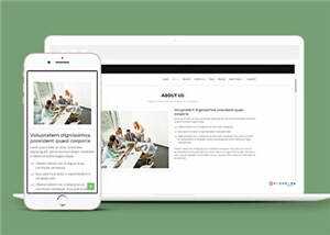 网页设计优化机构响应式网页模板 - KingHub