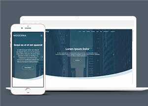 企业业务案例展示响应式网页模板下载 - KingHub