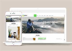 宽屏广告品牌设计类网站模板源码 - KingHub