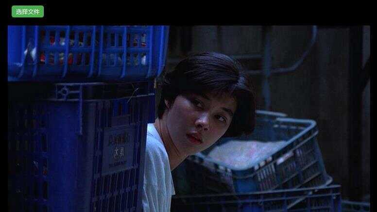 H5视频播放器源码_支持本地选择视频播放，带截图功能 - KingHub