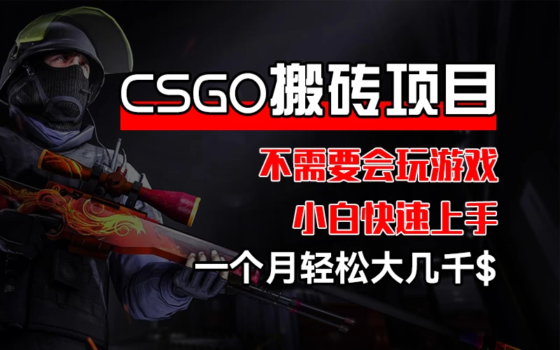 CSGO 装备搬砖项目，操作简单，不需要会玩游戏，小白也能快速上手，一个月轻松大几千 - KingHub