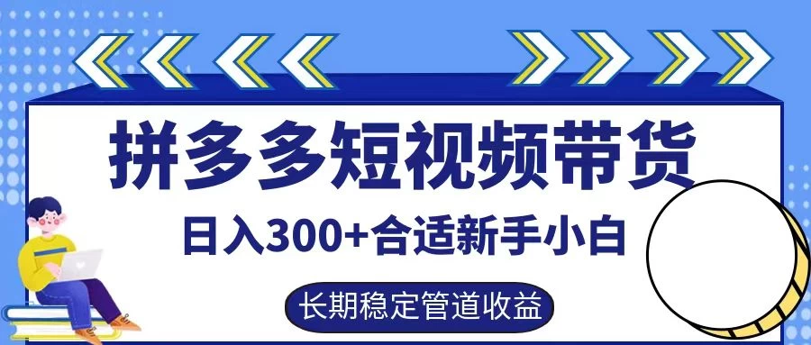 拼多多短视频带货日入300+保姆级实操账户展示 - KingHub