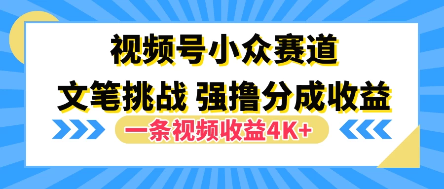 视频号小众赛道，文笔挑战，一条视频收益4K+ - KingHub