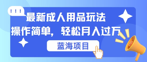 最新成人用品项目玩法，操作简单，蓝海项目轻松月入过万 - KingHub