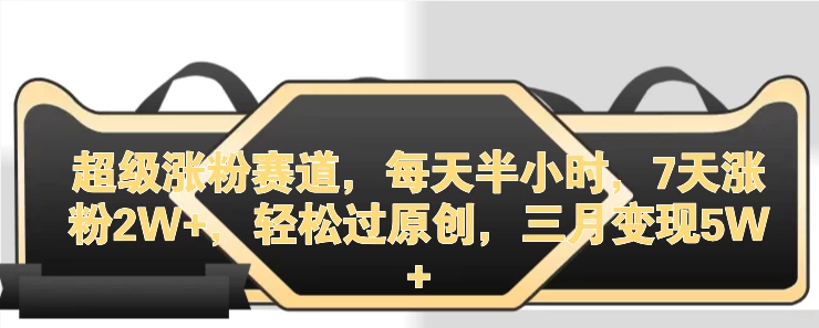 超级涨粉赛道，每天半小时，7天涨粉2W+，轻松过原创，三月变现5W+ - KingHub