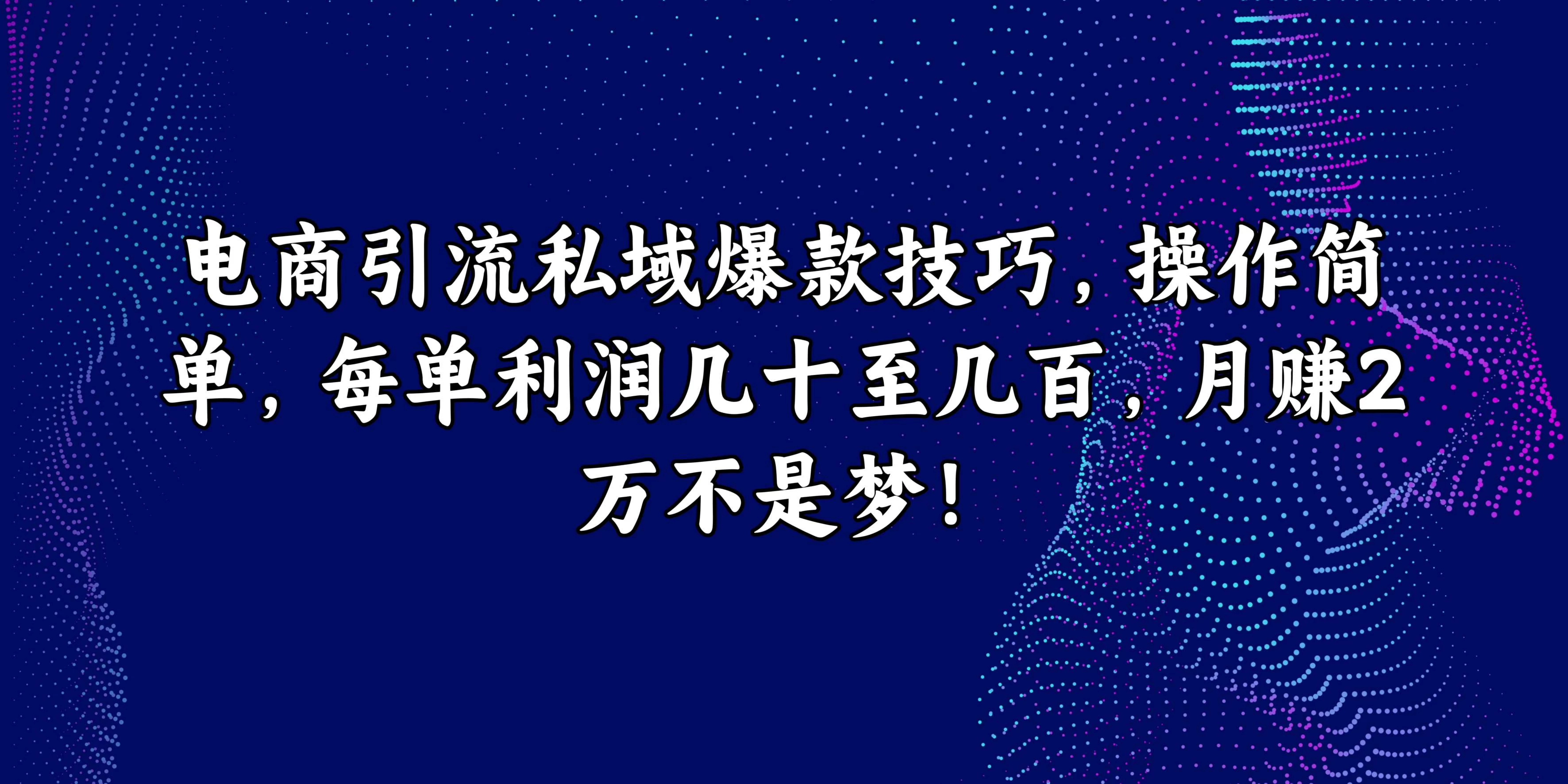 电商引流私域爆款技巧，操作简单，每单利润几十至几百，月赚2万不是梦！ - KingHub