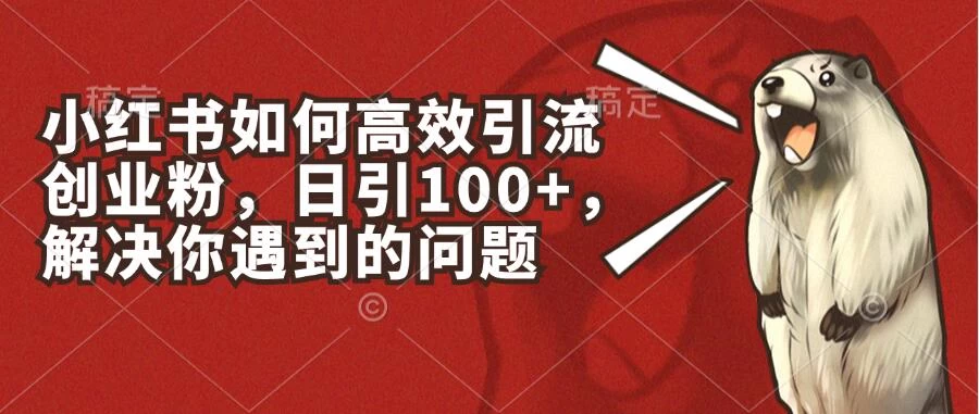 小红书如何高效引流创业粉，日引100+，解决你遇到的问题 - KingHub