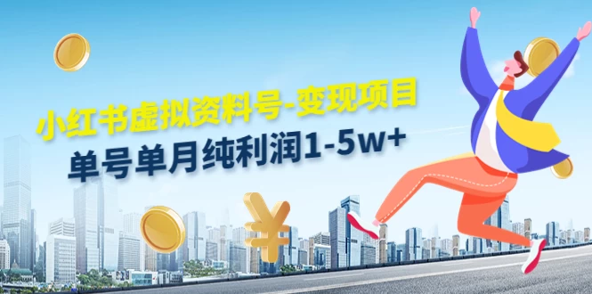 虚拟资料号变现项目，单月单号纯利润1W+，实操玩法分享 - KingHub