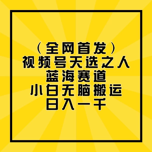 全网首发，视频号天选之人蓝海赛道，小白无脑搬运日入一千 - KingHub