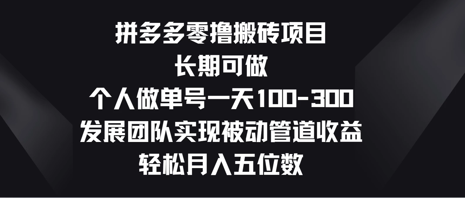拼多多零撸搬砖项目，长期可做，个人做单号一天100-300，发展团队实现被动管道收益，轻松月入五位数 - KingHub
