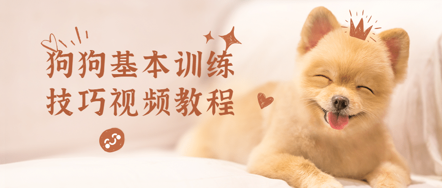 狗狗基本训练技巧视频教程 - KingHub