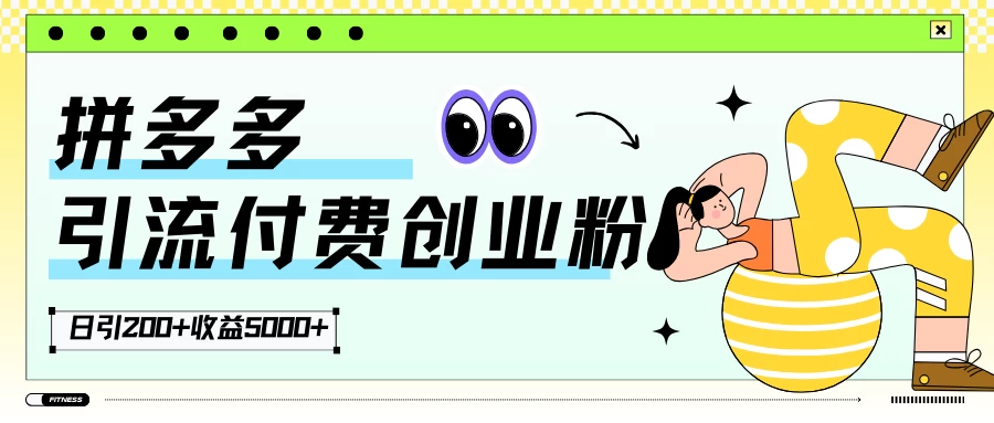 拼多多引流付费创业粉，日引200+，收益5000+ - KingHub