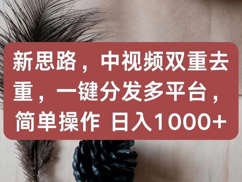 新思路，中视频双重去重，一键分发多平台，简单操作，日入1000+！快来试试吧！ - KingHub