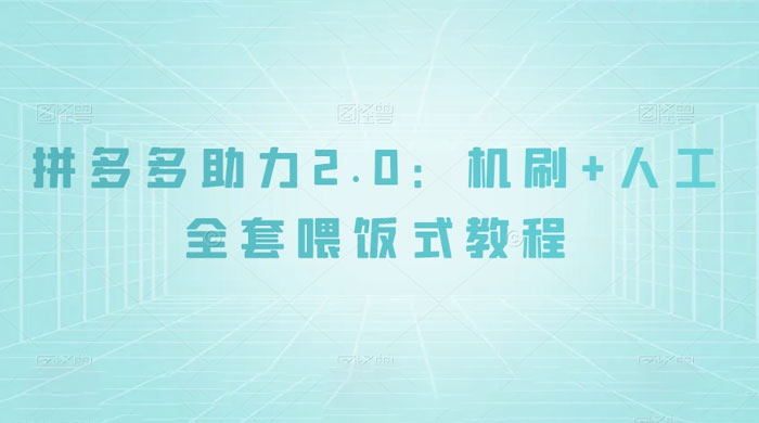 拼夕夕助力 2.0 新玩法：机刷+人工全套交付，喂饭式教程 - KingHub