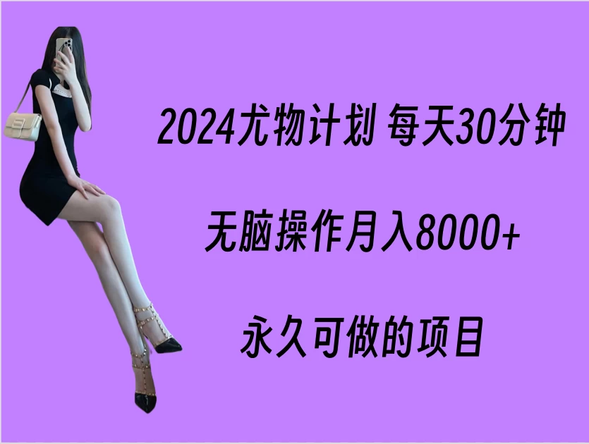 2024尤物计划 每天30分钟，无脑操作月入8000+，永久可做的项目 - KingHub