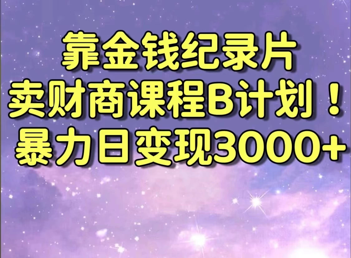 靠金钱纪录片卖财商课程，暴力日变现3000+，喂饭级干货教学！！ - KingHub