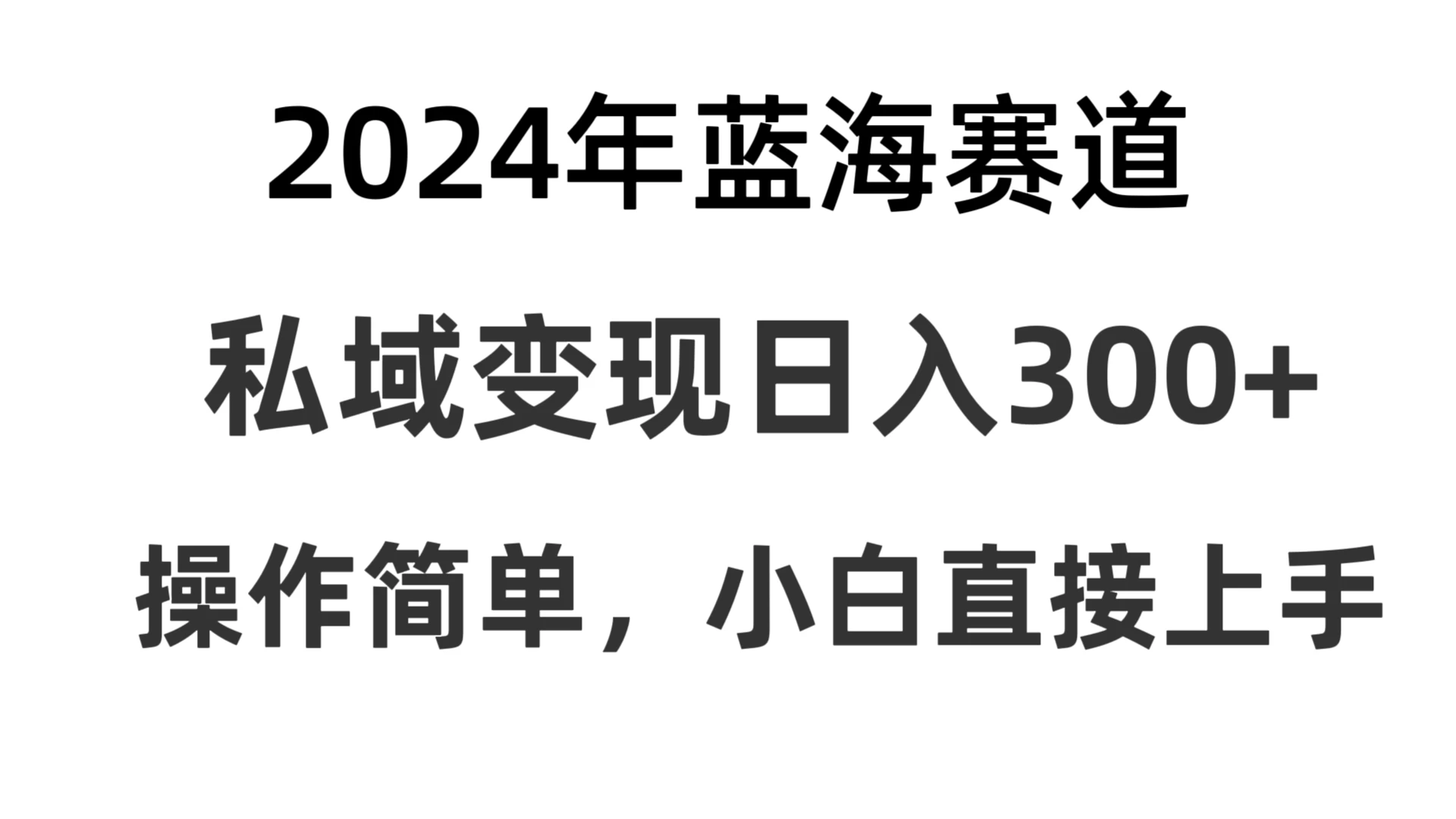 2024抖音蓝海赛道，私域变现日入300+，操作简单，每年只需一小时，纯小白可直接上手 - KingHub