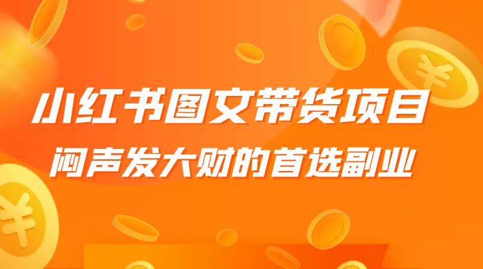 小红书图文带货项目：利润非常巨大，闷声发大财的首选副业 - KingHub