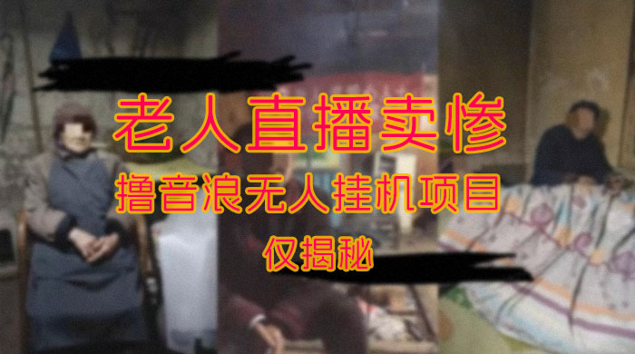 仅揭秘：老人直播卖惨撸音浪无人挂机项目（附开播教程+老人素材） - KingHub