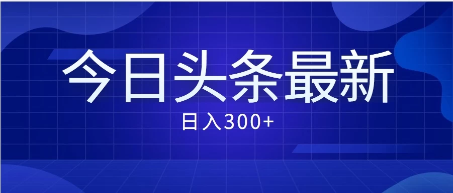 价值999的最新头条玩法，每天收入300+ - KingHub
