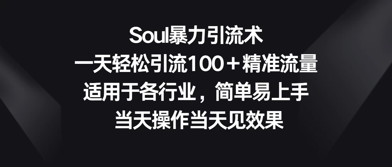 Soul暴力引流术，一天轻松引流100＋精准流量，适用于各行业，简单易上手 当天操作当天见效果 - KingHub