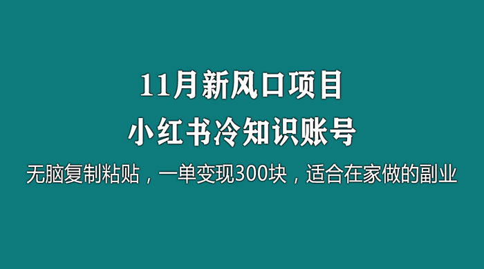 11 月新风口项目，小红书冷知识账号，无脑复制粘贴，一单变现 300 块，适合在家做的副业 - KingHub