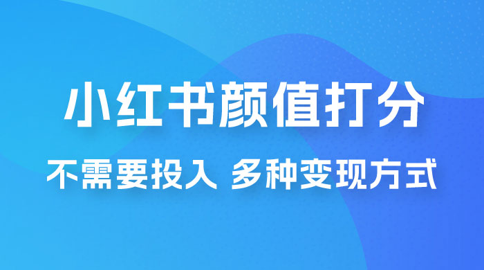小红书颜值打分新玩法，不需要投入，适合所有人的一份副业，多种变现方式！ - KingHub