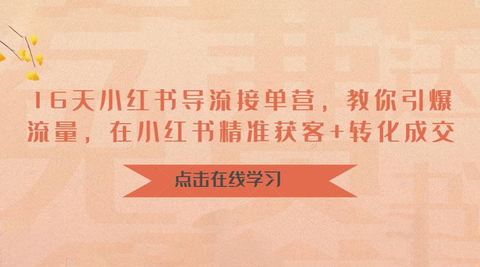 16 天小红书导流接单营：教你引爆流量，在小红书精准获客+转化成交 - KingHub