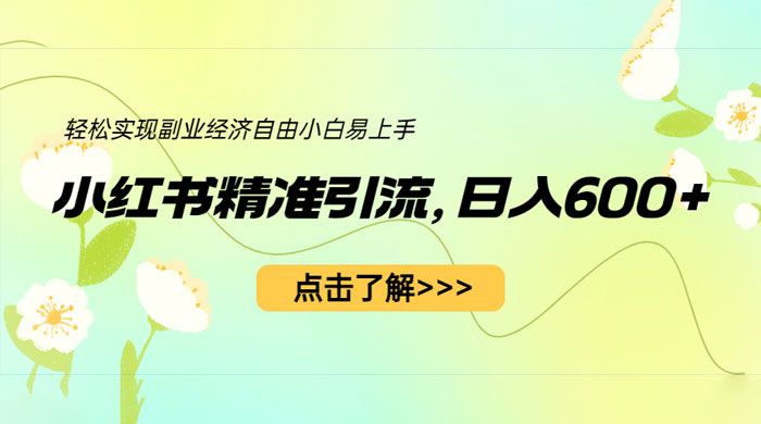 小红书精准引流：轻松实现副业经济自由（教程 + 1153G 资源） - KingHub