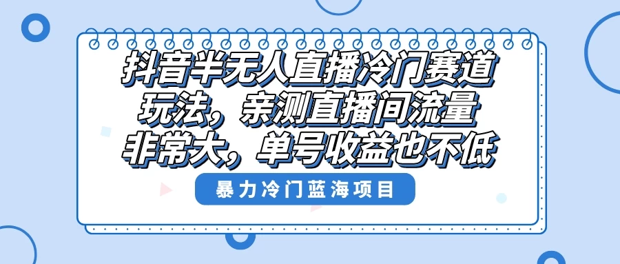 抖音半无人直播冷门赛道玩法，直播间流量非常大，单号收益也不低！ - KingHub