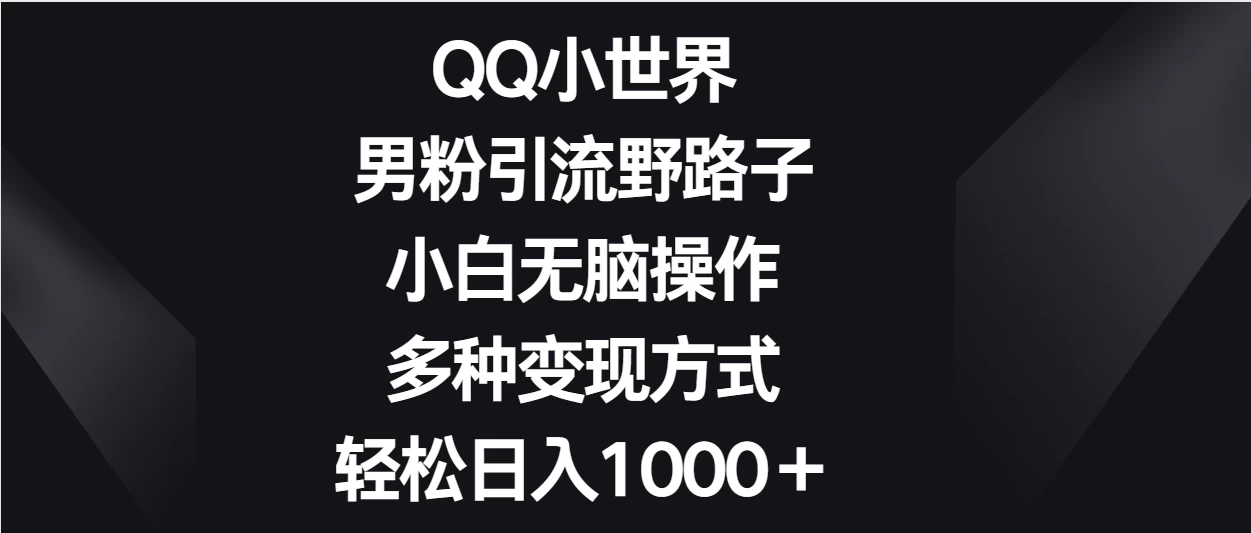 QQ小世界男粉引流野路子，小白无脑操作，多种变现方式轻松日入1000＋ - KingHub