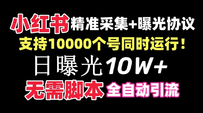 价值 10 万的小红书全自动采集+引流协议一体版！无需手机，支持 10000 个账号同时运行 - KingHub