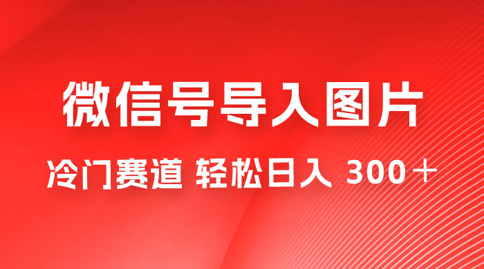 外面收费 66 的将微信号导入图片的教程，可自用或卖教程，一单 66 元，轻松日入 300+ - KingHub