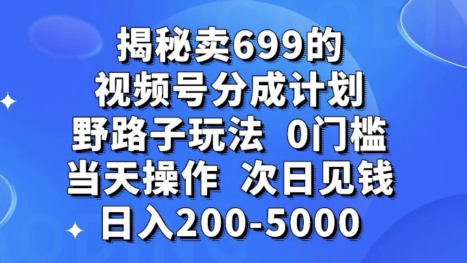 揭秘卖 699 的视频号分成计划野路子玩法，日入 200-5000，0 门槛，当天操作，次日见钱 - KingHub