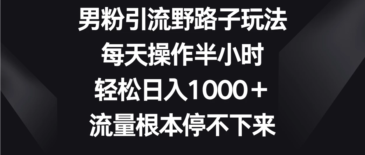 男粉引流野路子玩法，每天操作半小时轻松日入1000＋，流量根本停不下来 - KingHub