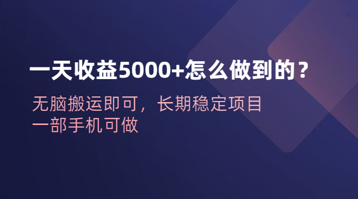 一天收益 5000+ 怎么做到的？无脑搬运即可，长期稳定项目，一部手机可做 - KingHub