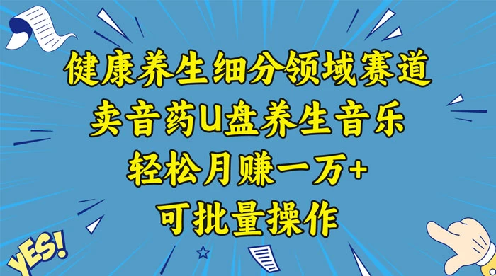健康养生细分领域赛道，卖音药U盘养生音乐，轻松月赚一万+，可批量操作 - KingHub