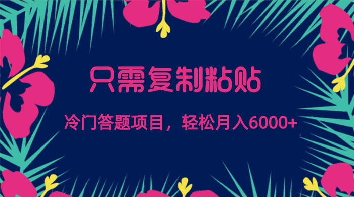 只需复制粘贴，冷门答题项目，轻松月入 6000 - KingHub