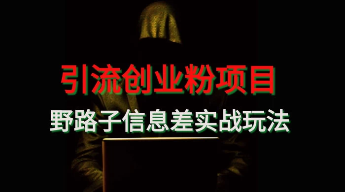 野路子信息差玩法实战教学，引流创业粉 - KingHub