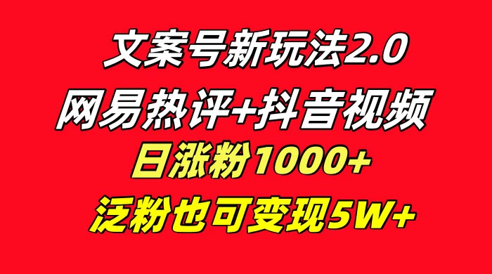 文案号新玩法，网易热评+抖音文案 一周轻松涨粉 5W+ 多种变现模式 - KingHub