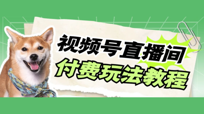 视频号美女付费无人直播，轻松日入500+（详细玩法教程） - KingHub