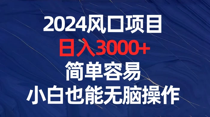 2024 风口项目，日入 3000+，简单容易，小白也能无脑操作 - KingHub