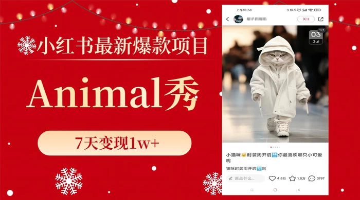 小红书最新爆款项目，Animal 秀，7天变现 1w+ - KingHub