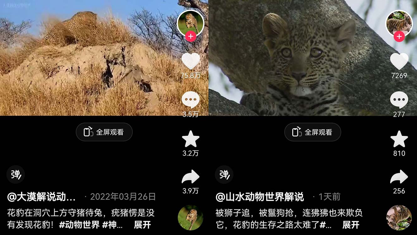 外面卖 1699 的国外纪录片解说：动物、美食、动画片解说，稳过中视频 - KingHub