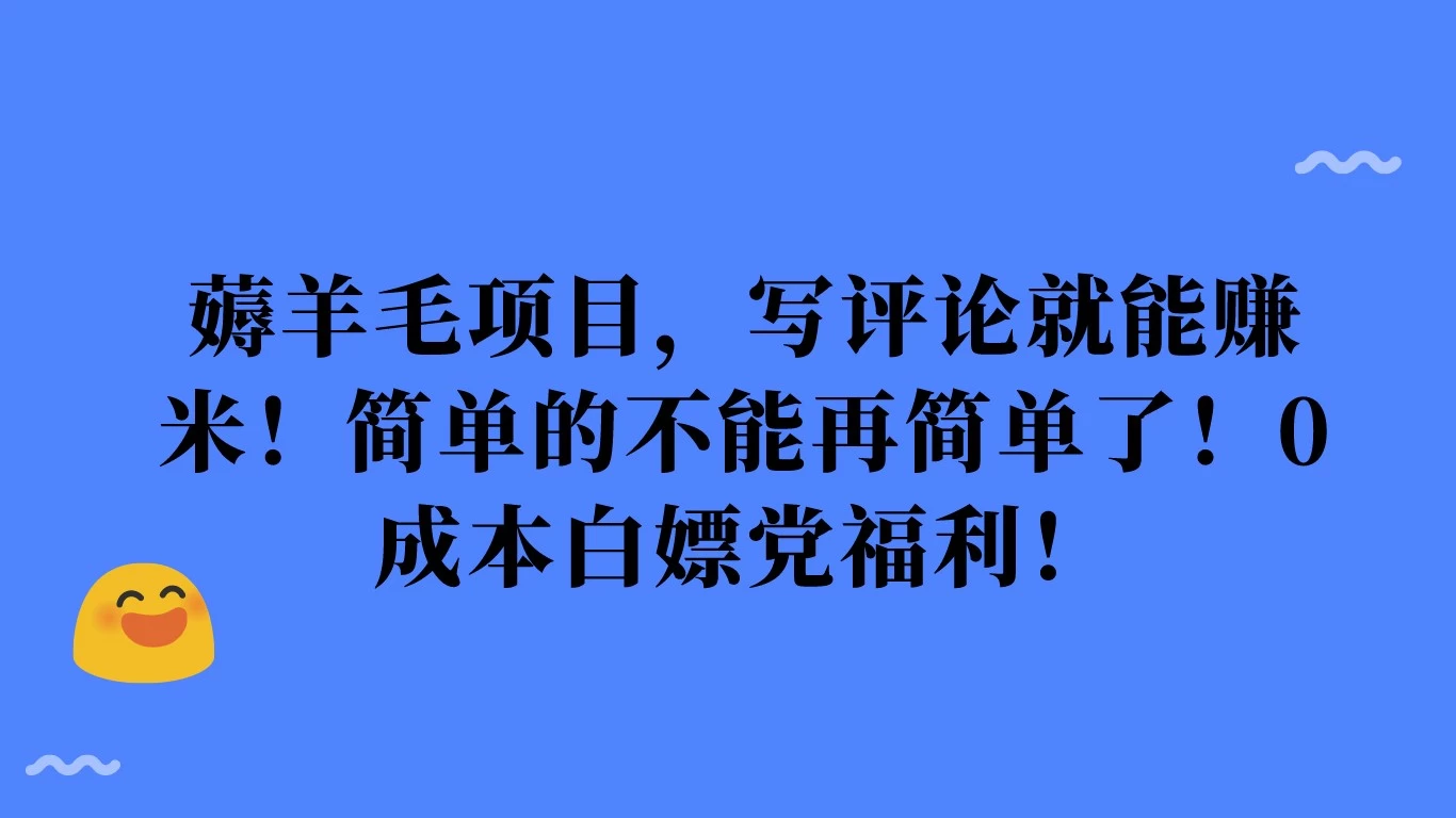 薅羊毛项目，写评论就能赚米！简单的不能再简单了！0成本白嫖党福利！ - KingHub